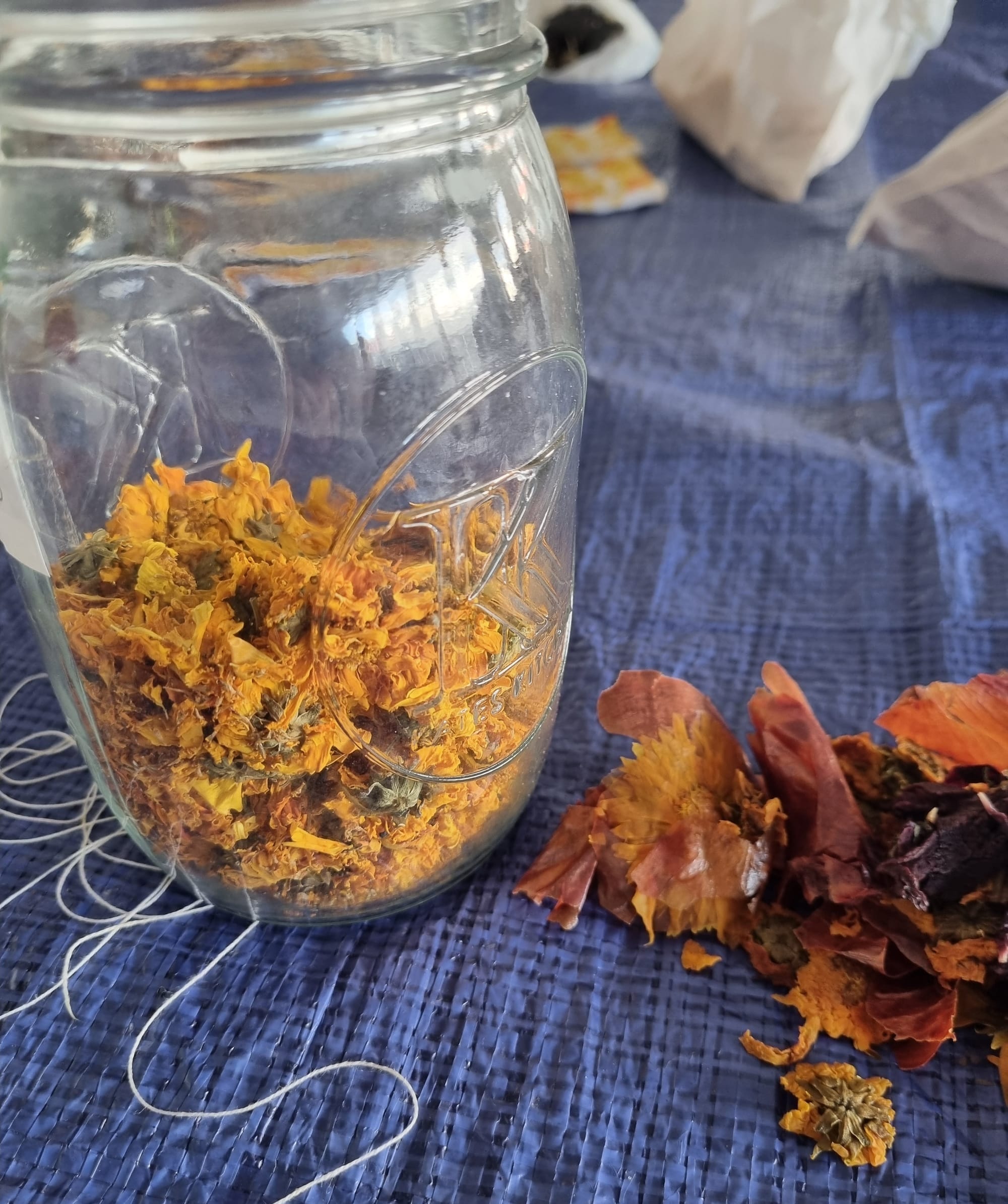 a jar of dried yellow flower heads - next to it are materials used in natural dyeing, including flowers and onion skins