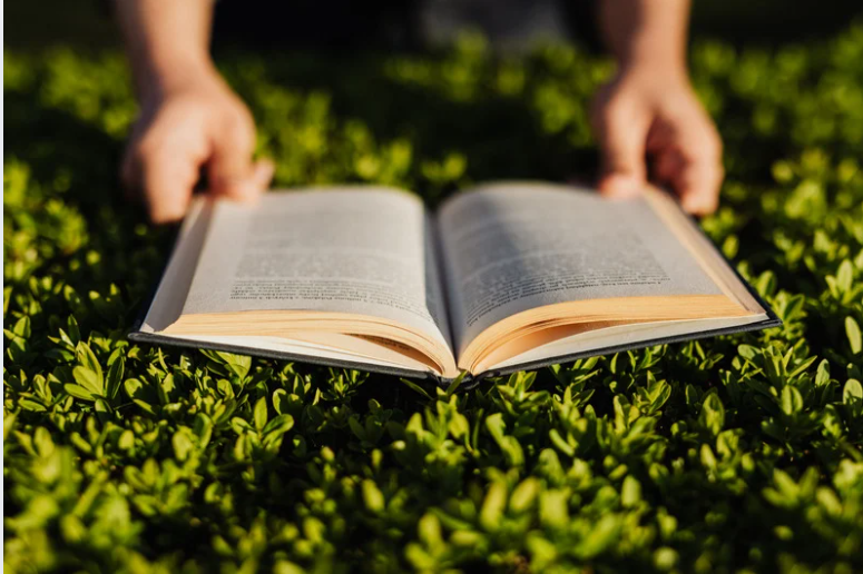 close up of the hands and book of someone reading a book in the sun on a broad leafed lawn